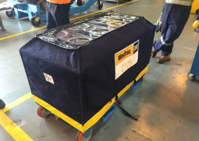 Static Intercept® canvas