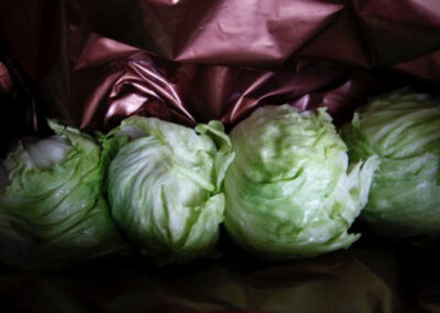 preservation packaging for fresh food produce