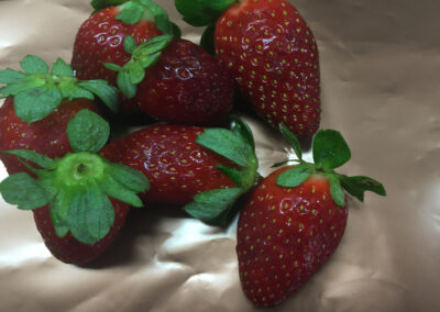 preservation packaging for fresh food produce