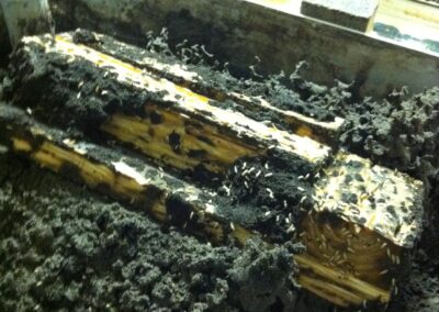 termite barrier